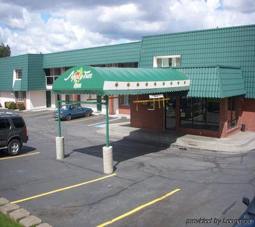 Apple Tree Inn Spokane Exteriör bild